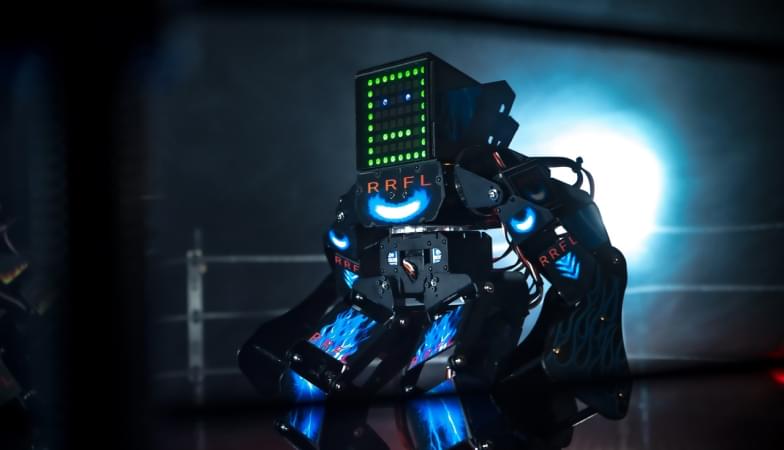 роботы для мальчишника